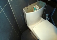 Otpušavanje wc šolje Surčin